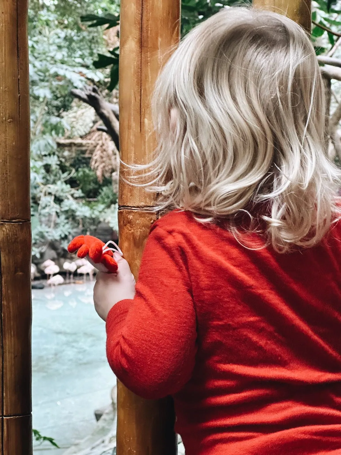 organic merino wool and silk kids shirt - red